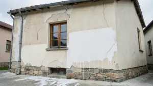 malowanie elewacji zamiast tynku